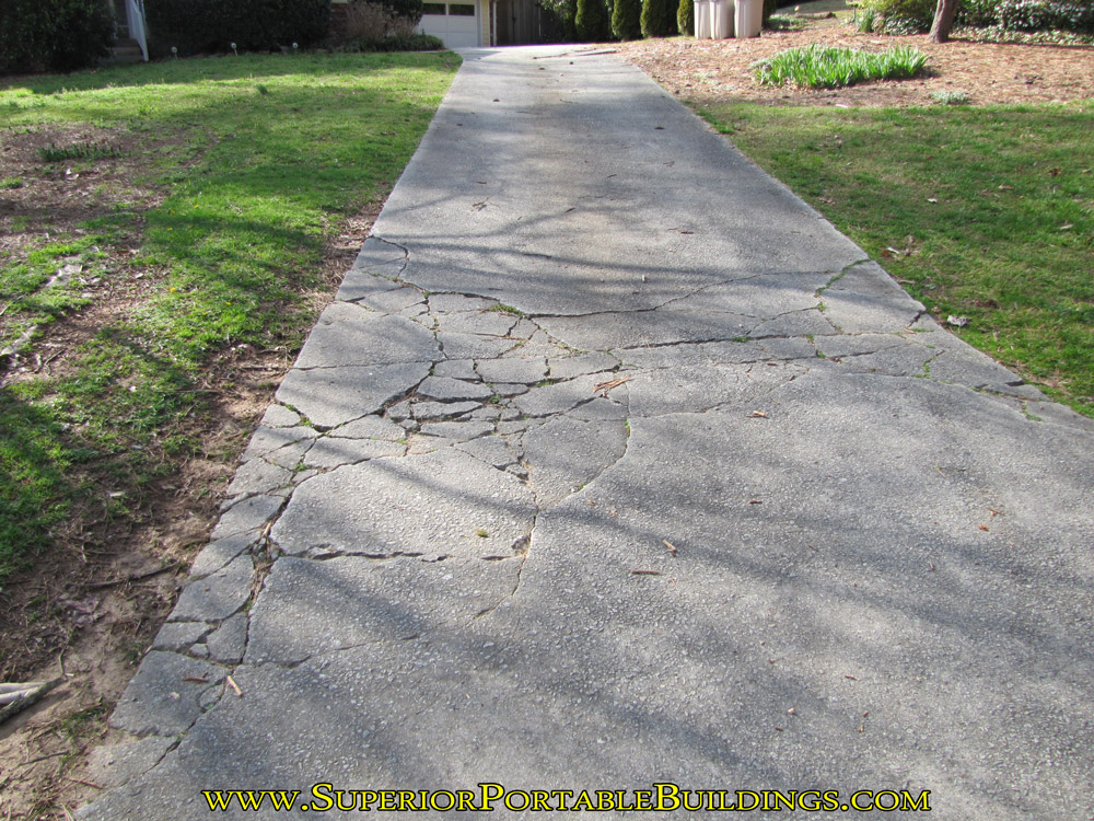 Concrete driveway tree root damage